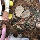 삼운사유치원 이미지