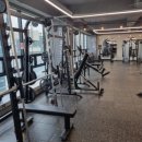 팀터틀랫 김해내외점 이미지