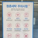 청춘세탁전주에코점 | [청춘세탁] 에코시티세탁소, 친환경세탁소, 청춘세탁 전주에코점 후기