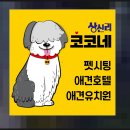 상신리코코네 이미지