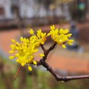 서구-02-29 이미지