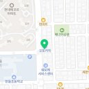 전주강아지분양 미니퍼피 가정견사 직영 이미지