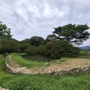 명옥헌원림2(입구) 이미지