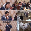 순산목장 이미지