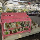 화훼단지앞버스정류장_R | 부산 꽃시장 두구화훼단지 두구영농조합 봄꽃을 가장 빨리 만나는 곳