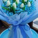 대전목양초교 이미지