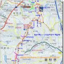 유유한 Daum카페