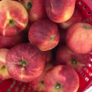 분지농장 이미지