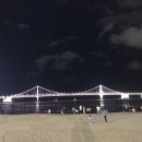 부산광역시 수영구 광안해변로 233   (민락동) 광안참사랑요양병원 앞 | [부산] 수영구 광안리 시카고피자 '매드독스'