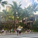 하선농장 | 신행일기