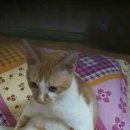 플랜비(plan B) 이미지