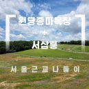 복형목장 | 서울 근교 산책하기 좋은 곳｜원당종마목장 + 서삼릉 나들이 후기