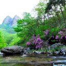 청송전자 이미지