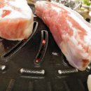 명량돼지 이미지