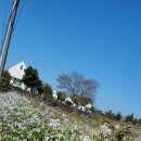 소서제주 7월2일 이미지