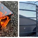 탑한우농장 이미지