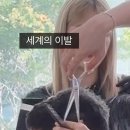 당신이 무엇을 상상하든 그 이상을 보게 될 것이다. 이미지