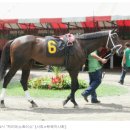 제이에스초이스 이미지