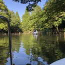 함박약국 이미지