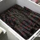 밀양초재 뉴시스