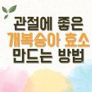 개복숭아 효소 만드는 방법 이미지