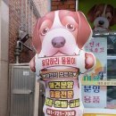 응답하라 몽몽이 이미지