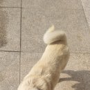 오량황토찜질방 이미지