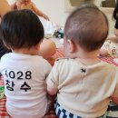 연세 키즈풀 이미지