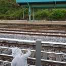 정선하늘터 이미지