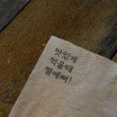 타코다방 | 시흥 은계 맛집 웨인스버거&타코 내돈내산 후기 시흥 타코 맛집