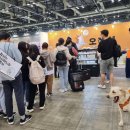 NR-30[번영로]-상-98 | 2021 일산 케이펫페어 아산강아지수제간식 오간식 참가 후기!