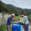 홍천세무서 이미지