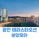 테라스타오션 이미지