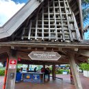 해적 | 괌 PIC : 수영장, 헬쓰장, 해적디너쇼 후기