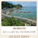 등대길 민박 | 왓츠인마이블로그 울진 스노쿨링 명소 죽변 하트해변에서 스노쿨링하고 대게빵 먹은 후기