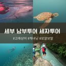 세자로 | 세부 남부투어 세자투어 : 오슬롭 고래상어 캐녀닝 모알보알