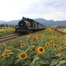 송월동 동화마을 특화거리 이미지