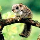 하늘발전소 이미지