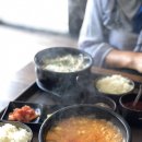 김밥나라고현