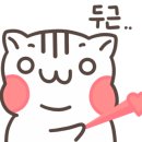미미장 이미지