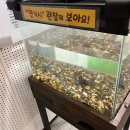 거창IC주유소 이미지