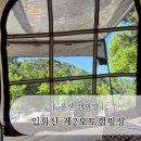 돌고래오토캠핑장2 | 미즈캠 울산캠핑, 입화산 제2오토캠핑장 519번 솔직 후기