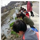 금관분교 병설유치원 이미지