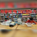 독수리브레인
