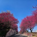 홍매뜨락협동조합 이미지