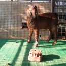 이천제이농장 이미지