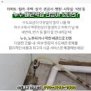 조승호내과의원 네이버블로그
