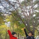 명돈골 캠핑장