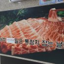 푸른참치 이미지