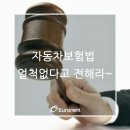 자동차보험법 얼척없다고 전해라~ 이미지